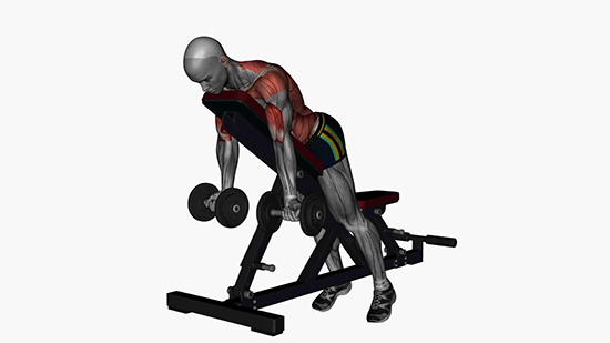 Back Workouts